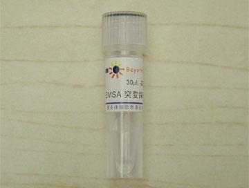 EMSA突变探针－AP2 (10μM)